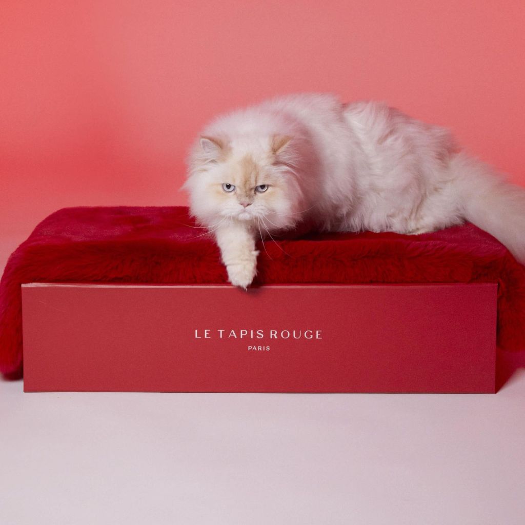 Le Tapis Rouge Paris | Tapis de luxe en fausse fourrure pour chat