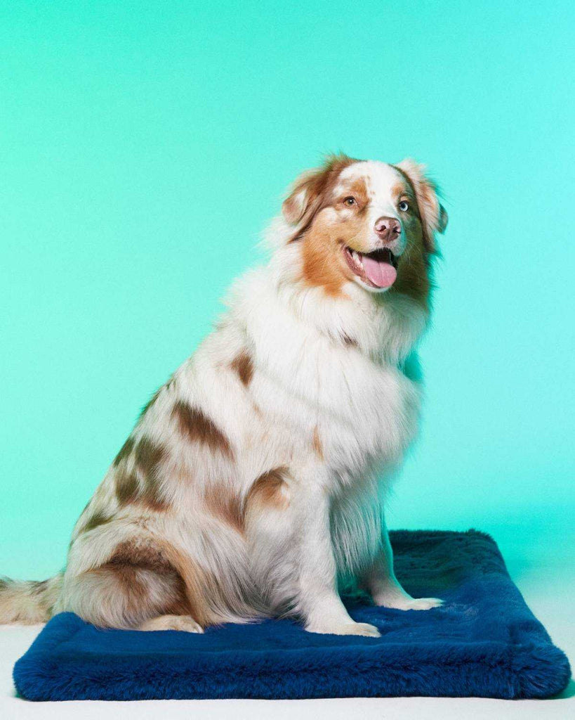 Le Tapis Londres | Le Tapis Rouge Paris | Tapis de Luxe pour chien et chat en fourrure synthétique